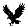 Fliegender Adler