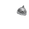 Aluhüte An Die Macht