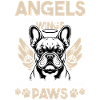 French Bulldog Frenchie Dog Breed