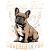 French Bulldog Frenchie Dog Breed