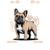 French Bulldog Frenchie Dog Breed