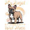 French Bulldog Frenchie Dog Breed