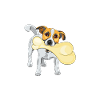 Jack Russell Pyjama-Haare