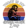Japanmakak Japanese Macaque