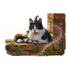 Katzenzauberer an der Wand