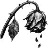 Withered rose in shadows