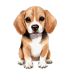 design_beagle_dog_1