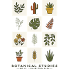 Botanical Studies Minimalistisches Pflanzendesign