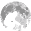 Bigfoot, Cat, Moon, Full Moon, Kitten