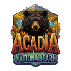 Bear in Acadia National Park Fall