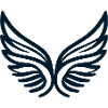 Wings of the Night Silhouette