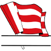 Eindhoven Custom Flag