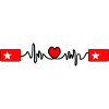 Maastricht Flag Heartbeat