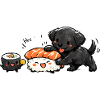 Kawaii Dog Meets Sushi
