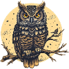 Owl at night with moon