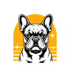 French Bulldog Frenchie Dog Breed