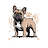 French Bulldog Frenchie Dog Breed