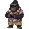 Gorilla Fotograf Hawaii-Look