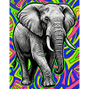Elefant