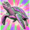 Schildkröte