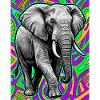 Elefant