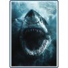 Great White Shark Great White Shark