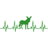 Donkey heartbeat