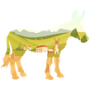 Donkey Village Farmer