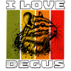 Degu Degu