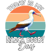 Nazca Tölpel Nazca Booby