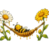 Bee Honey Beekeeper Honeycomb Bee Insect