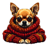 Chihuahua Winter Cuddle with Scarf