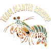 Team Mantisshrimp