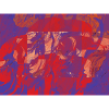 Colour Swirl Fire Flow