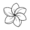 Frangipani-Blüte