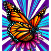 butterfly