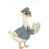 Duck pilot on take-off