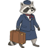 Reise-Waschbär im Anzug