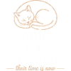 Senior Cat Advocate Tee