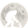 Bigfoot, Cat, Moon, Full Moon, Kitten
