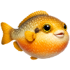 Cuddly Goldfish Caricature