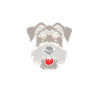 Irischer Wolfshund