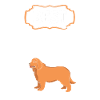 Newfoundland Dad Dad Father