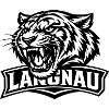 Langnau Cat
