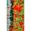 Poppies in Field with Handwritten Text