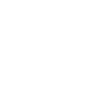 Fleischer