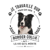Border Collie humour chien 