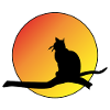 Sunset Cat Silhouette