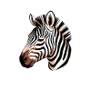Zebra Sayings Zebras Funny Zebra Gift