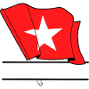 Maastricht Custom Flag
